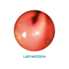 larynxodem-circle